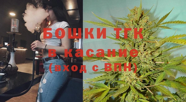 тгк Абаза