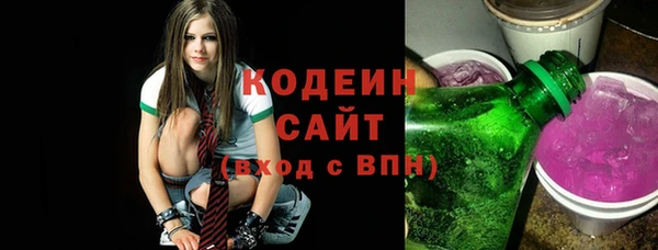 прущий лед Новозыбков