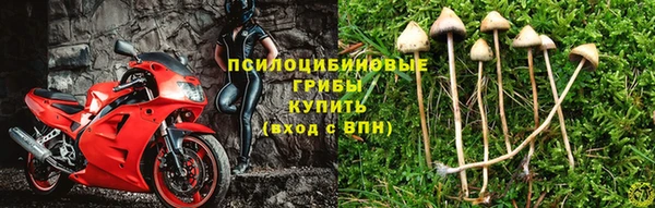 герыч Нягань