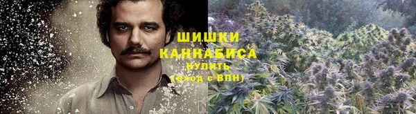 твердый Новодвинск