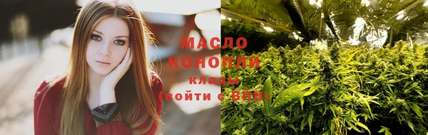 тгк Абаза