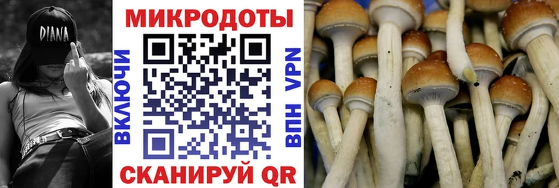 сколько стоит  Саратов  Псилоцибиновые грибы Magic Shrooms 