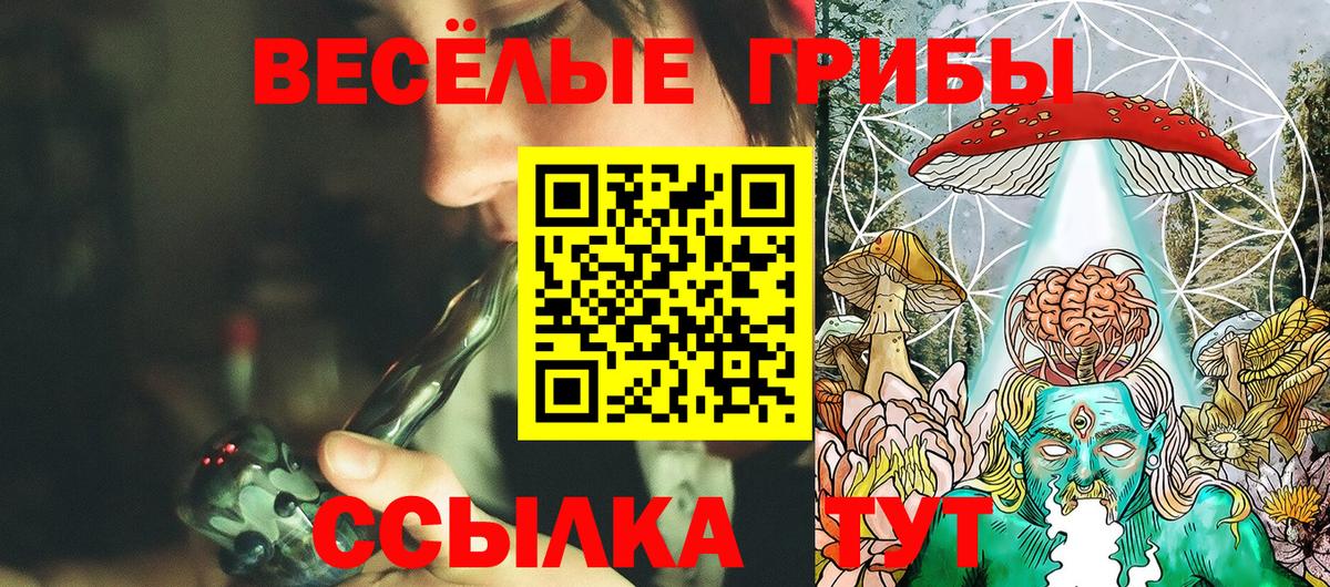 Саратов  Псилоцибиновые грибы Psilocybine cubensis  Вход с VPN 